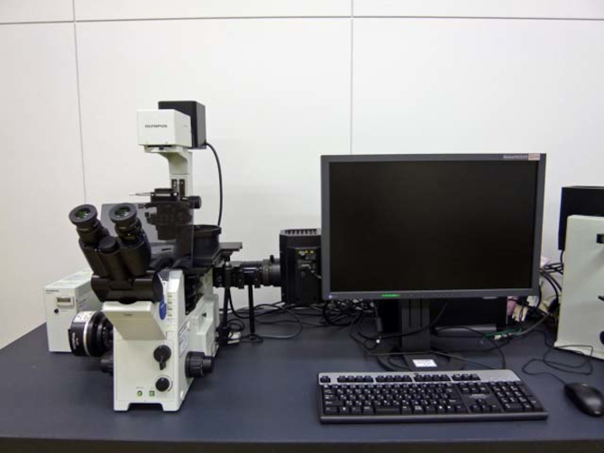 倒立型蛍光顕微鏡 - 兵庫県立工業技術センター